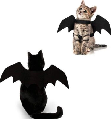 Purr-anormal Paws: Dressing Your Cat Safely for a Spooky Halloween